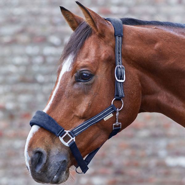 gepersonaliseerde halsters